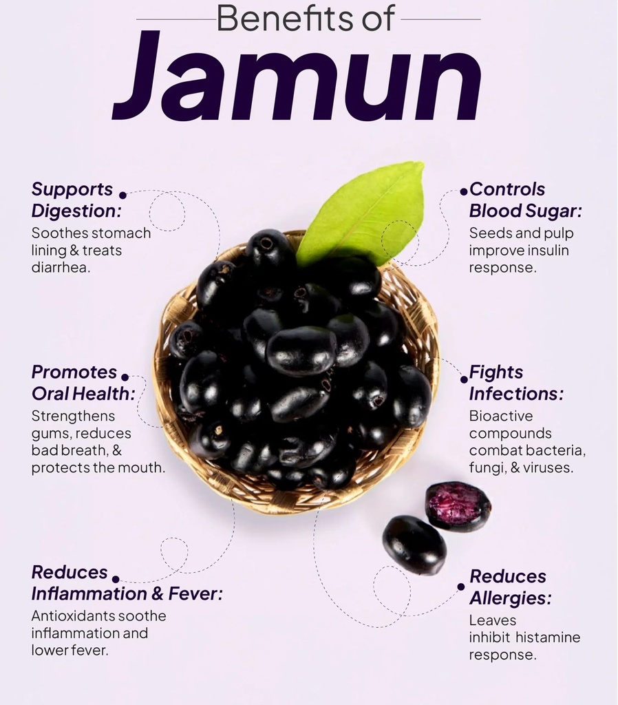 naturals-organic-jamun-seed-100g-100-pur-81eDNo9OLkL.jpg