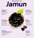 naturals-organic-jamun-seed-100g-100-pur-81eDNo9OLkL.jpg