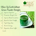 bliss-of-earth-organic-wheatgrass-powder-71WCHsTm0lL.jpg