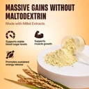 beastlife-high-protein-mass-weight-gaine-61kMY9NwpsL.jpg