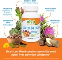 viva-vitamins-liver-blend-detox-cleanse--4.jpg