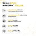 muscleblaze-biozyme-gold-100-whey-protei-71zWPoDj71L.jpg