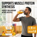 healthyhey-nutrition-fermented-yeast-pro-71SR2dZ1S8L.jpg