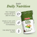 nutrela-green-plant-protein-powder-500g--61FFBUKNypL.jpg