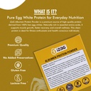 izag-egg-white-albumen-protein-powder-un-91nFB4Fq+VL.jpg