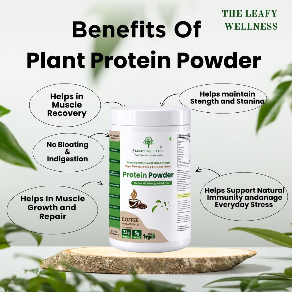 plant-protein-powder-pea-brown-rice-prot-718KhGzwCAL.jpg