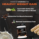 nutrela-sports-mass-gainer-protein-powde-61rwUEGrC6L.jpg