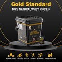 muscletrail-gold-standard-series-60-pouc-71tknGW36wL.jpg