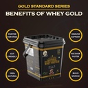 muscletrail-gold-standard-series-60-pouc-71RDXoeQ7IL.jpg