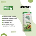baidyanath-asli-ayurved-giloy-papaya-tul-61n4BwtxVkL.jpg