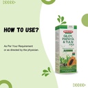 baidyanath-asli-ayurved-giloy-papaya-tul-51kb6kw8NGL.jpg