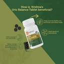 krishna-s-uric-balance-tablets-advanced--719EPVj0n4L.jpg