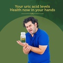 krishna-s-uric-balance-tablets-advanced--71Dk85KyU3L.jpg