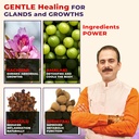 jeena-sikho-granthi-vati-ayurvedic-medic-71YwE8r34OL.jpg