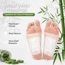 100-herbal-and-gentle-ingredient-detox-f-71IUqspebML.jpg