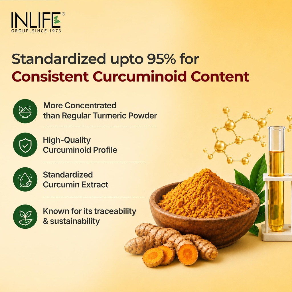 inlife-curcumin-c3-complex-500mg-piperin-81lE0lcjB0L.jpg