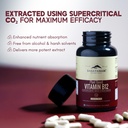 rasayanam-curcumin-plant-based-vitamin-b-71NG6OtqtGL.jpg