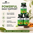 sonark-s-nisarga-herbs-curcuma-plus-curc-71MsX6V+GQL.jpg