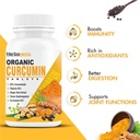 curcumin-tablet-95-curcuminoids-with-pip-61zDgB7PDuL.jpg