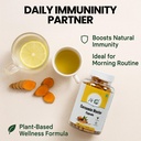 curcumin-master-60-capsules-500mg-premiu-81nhsvXf+fL.jpg
