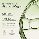 wellbeing-nutrition-matcha-collagen-for--81HRiOPmHfL.jpg