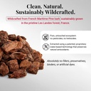 redpine-vegan-collagen-booster-pycnogeno-61+SaWM0u+L.jpg