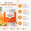 biotane-marine-collagen-powder-manufactu-61M5H7vL9UL.jpg