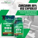 nourishvitals-curcumin-95-curcuminoids-5-71Pip4dyW7L.jpg