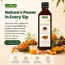 jeena-sikho-plant-collagen-plus-500-ml-81+BconEoDL.jpg