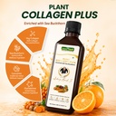 jeena-sikho-plant-collagen-plus-500-ml-81reoFmwCwL.jpg