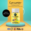phs-organic-curucumin-tablets-500mg-with-61sOzoaw25L.jpg