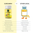 phs-organic-curucumin-tablets-500mg-with-61gRLXP69gL.jpg