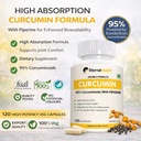 eternalhealth-curcumin-high-absorption-d-71XdD4YisZL.jpg
