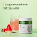 hk-vitals-veg-collagen-supplement-powder-71C8Uu8NBrL.jpg