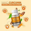 nano-curcumin-with-piperine-tablets-high-71E3p-zKBhL.jpg