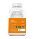 abso-curcumin-500-mg-60-veg-capsules-61ac8nfePAL.jpg