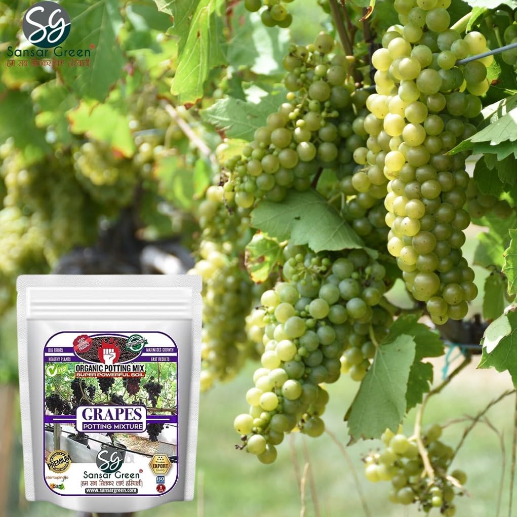 sansar-green-grapes-potting-mixture-esse-710zPR9HQEL.jpg