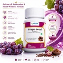 grapes-seed-extract-500mg-capsules-antio-71NZssxgzqL.jpg