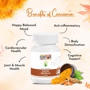 ignitor-curcumin-with-piperine-capsules--61UFM4x-5IL.jpg