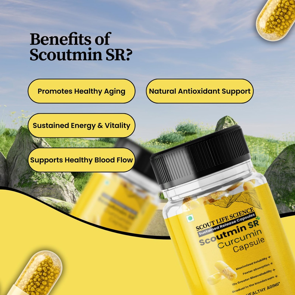 scout-life-scoutmin-curcumin-60-capsules-71eauhKHZEL.jpg