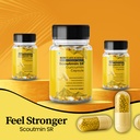 scout-life-scoutmin-curcumin-60-capsules-718zbKmSF+L.jpg