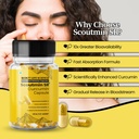 scout-life-scoutmin-curcumin-60-capsules-81YXDjDqy7L.jpg