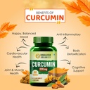 curcumin-with-biopiperine-1310mg-tablets-61jSFzlFGhS.jpg