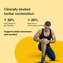 anti-inflammation-detox-combo-curcumin-p-61YkdLMzEkL.jpg