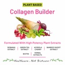 bliss-welness-plant-based-collagen-build-71KZ6uQ9PgL.jpg