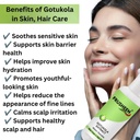 gotukola-liquid-extract-natural-botanica-614XBeW0iIL.jpg