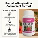 hibiscus-flower-capsules-500mg-100-veg-c-61LpOXZm8bL.jpg