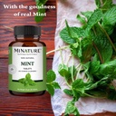 mint-tablet-by-mi-nature-mentha-pure-nat-71qmH4HA2KL.jpg