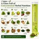 ayu-daily-green-superfood-effervescent-t-71xT1lqBcYL.jpg