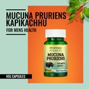 morpheme-remedies-mucuna-pruriens-kapika-6103bzvRZ9L.jpg
